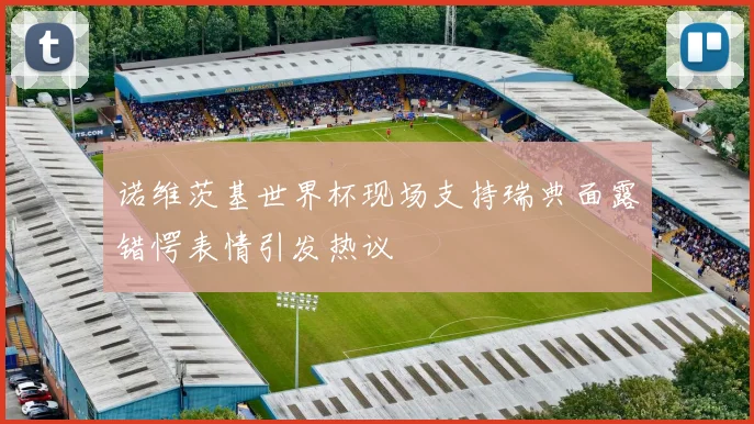 诺维茨基世界杯现场支持瑞典面露错愕表情引发热议