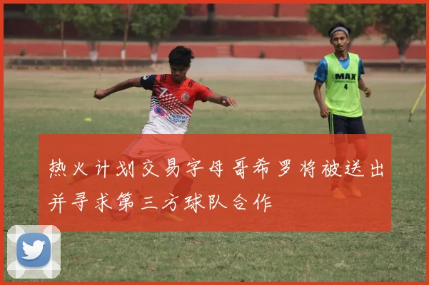 热火计划交易字母哥希罗将被送出并寻求第三方球队合作